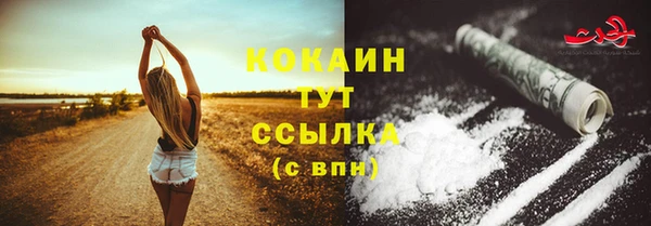 индика Дмитров