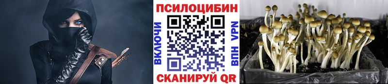 Галлюциногенные грибы GOLDEN TEACHER как найти наркотики Касли